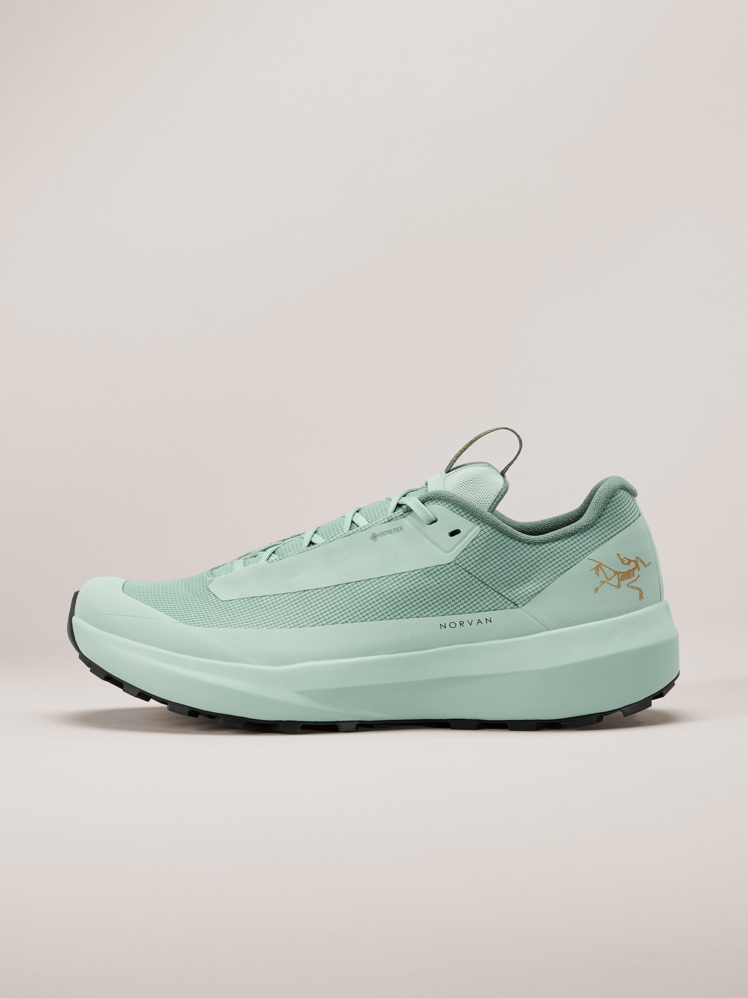 노반 LD 4 GTX 남성