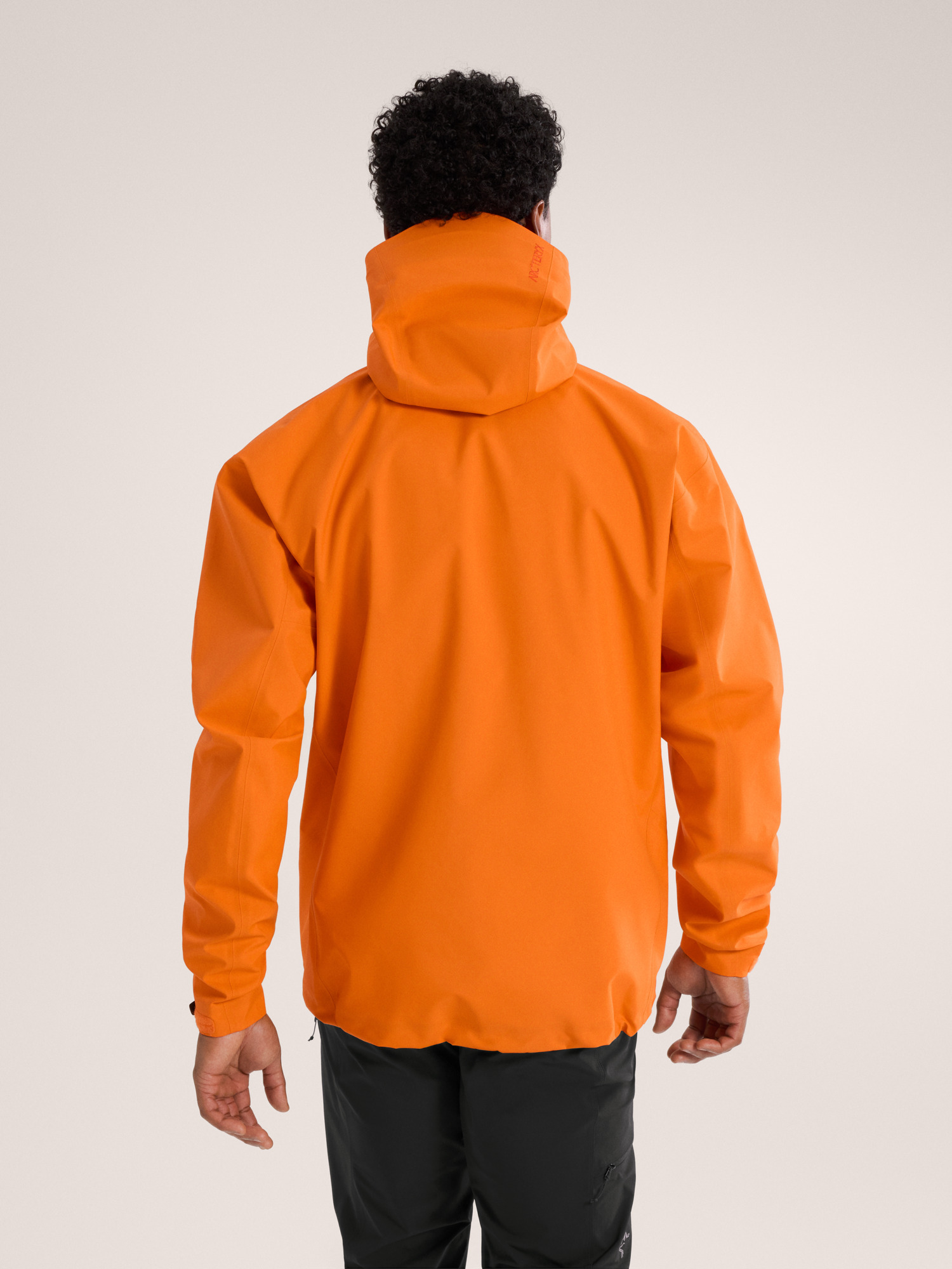 Product Image https://product.arcteryx.co.kr/images/products/685132/S25_X000007726_details_Beta_Jacket_Verve_Back_View.jpg