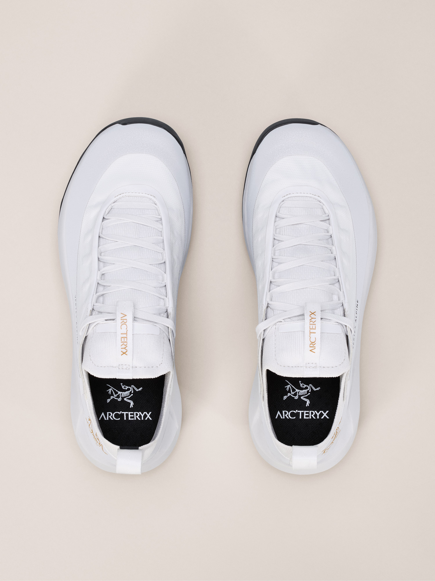 Product Image https://product.arcteryx.co.kr/images/products/686221/S26_X000009603_details_Vertex_Alpine_GTX_Shoe_Atmos_Solitude_Women_s_Pair.jpg
