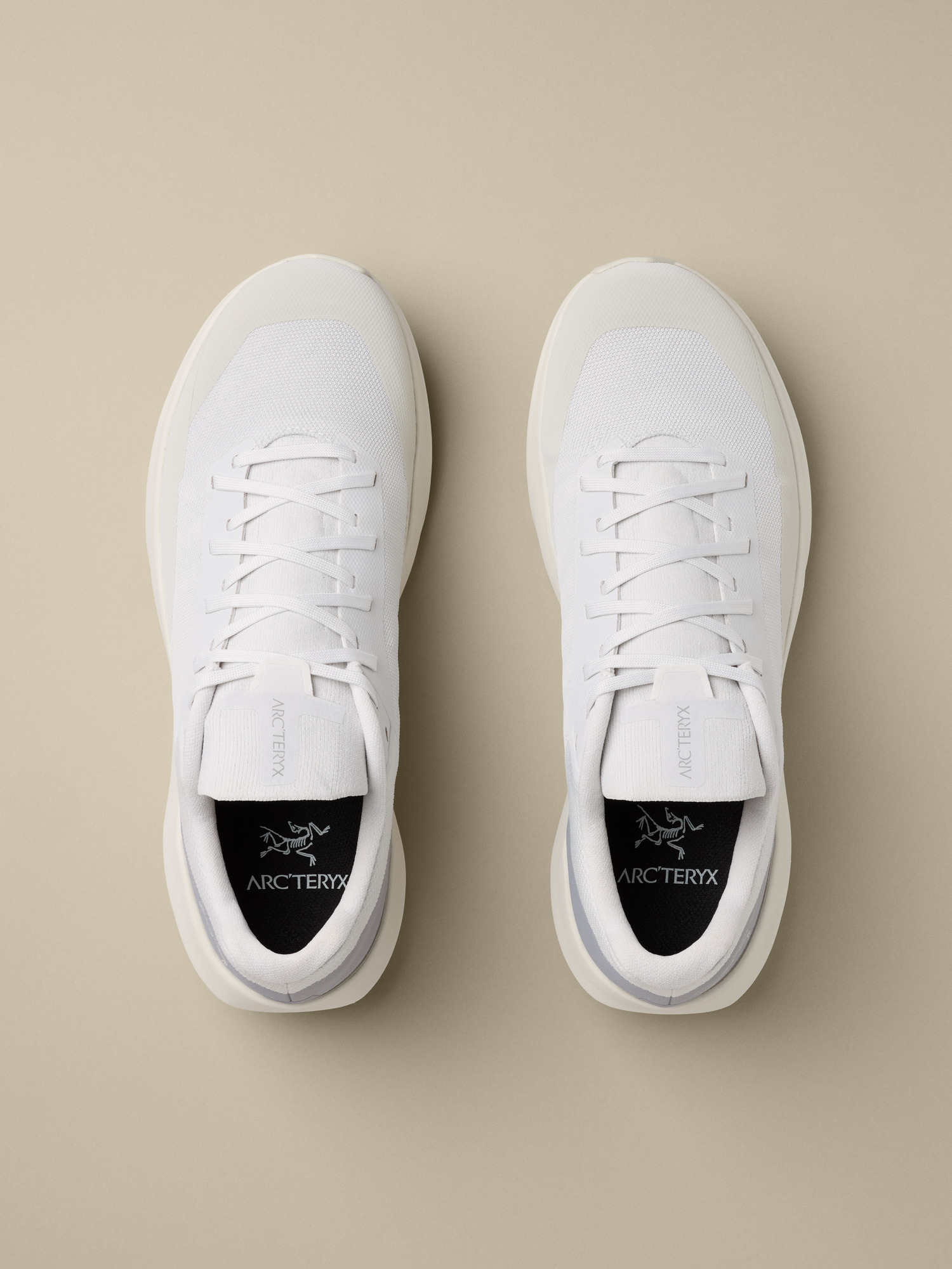 Product Image https://product.arcteryx.co.kr/images/products/686683/F26_X000010400_details_Norvan_LD_4_Shoe_Atmos_Solitude_Women_s_Pair.jpg