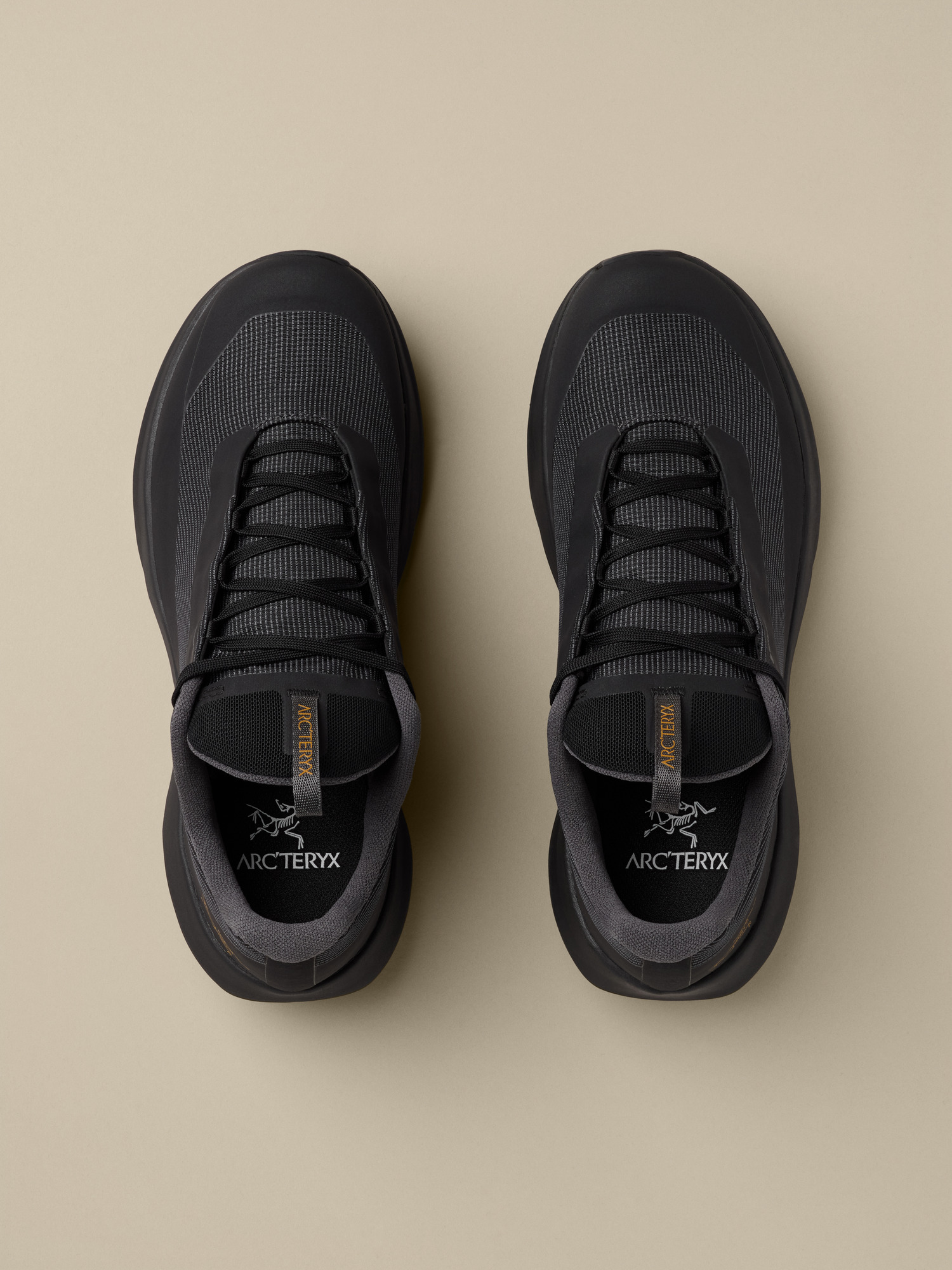 Product Image https://product.arcteryx.co.kr/images/products/686737/F26_X000010399_details_Norvan_LD_4_GTX_Shoe_Black_Black_Women_s_Pair.jpg