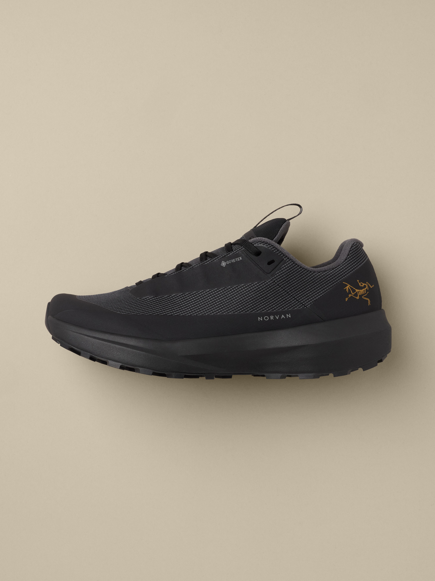 Product Image https://product.arcteryx.co.kr/images/products/686737/F26_X000010399_details_Norvan_LD_4_GTX_Shoe_Black_Black_Women_s_Profile.jpg