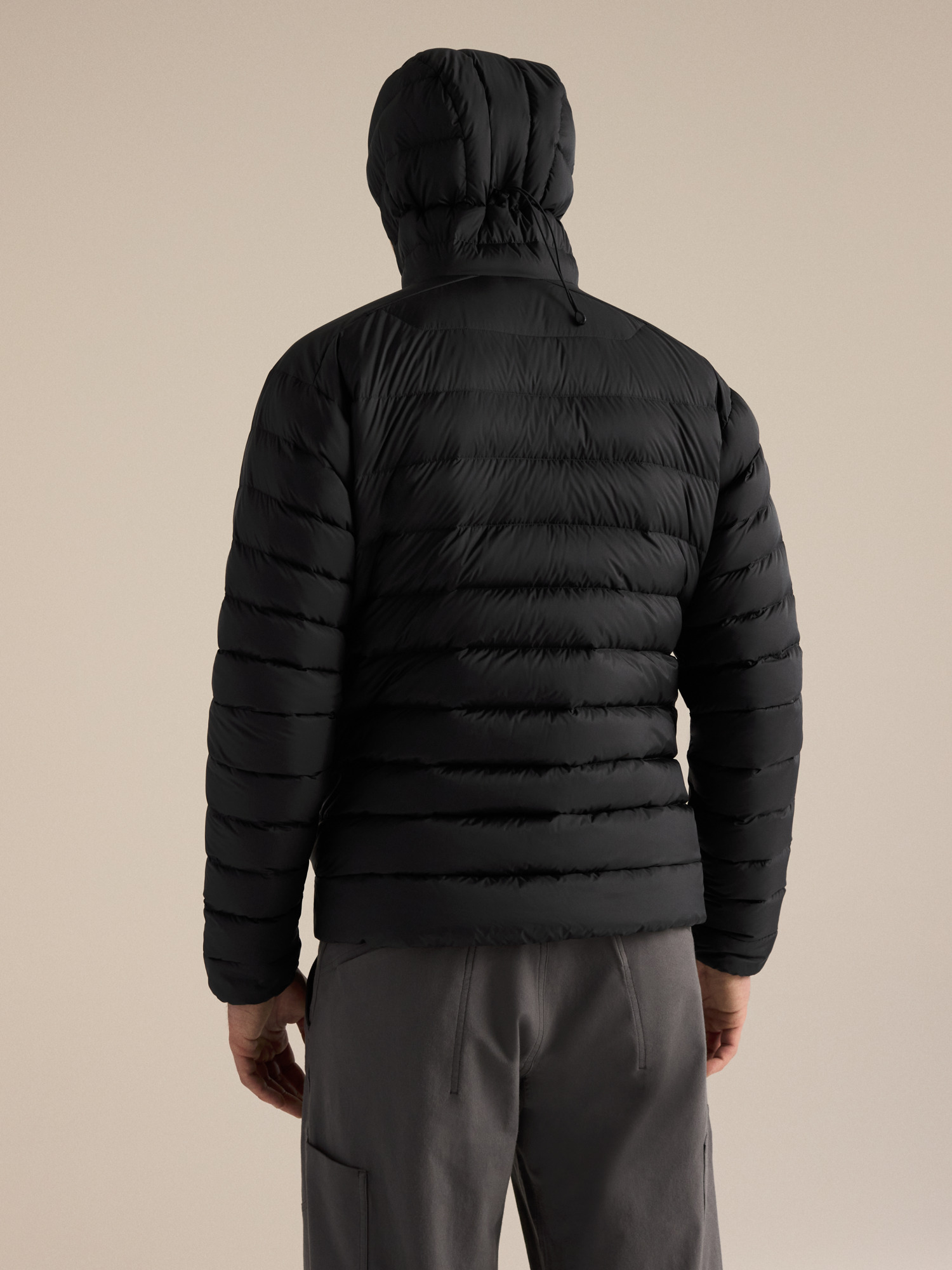 Product Image https://product.arcteryx.co.kr/images/products/686764/F26_X000010521_details_Cerium_Hoody_Black_Back_View.jpg