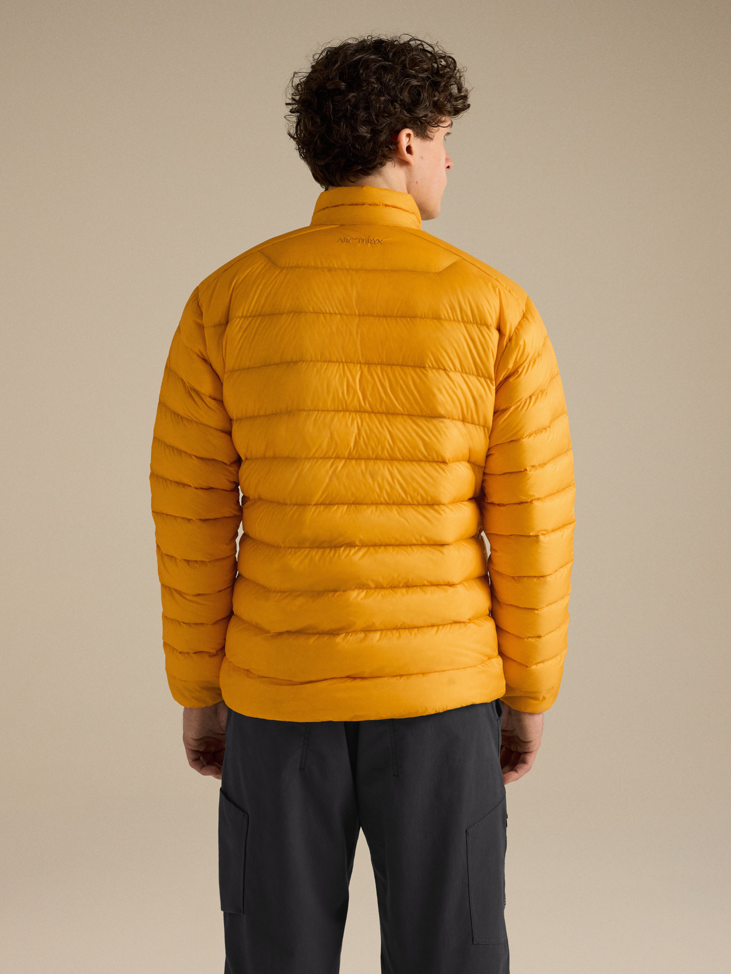 Product Image https://product.arcteryx.co.kr/images/products/686765/F26_X000010579_details_Cerium_Jacket_Larch_Back_View.jpg