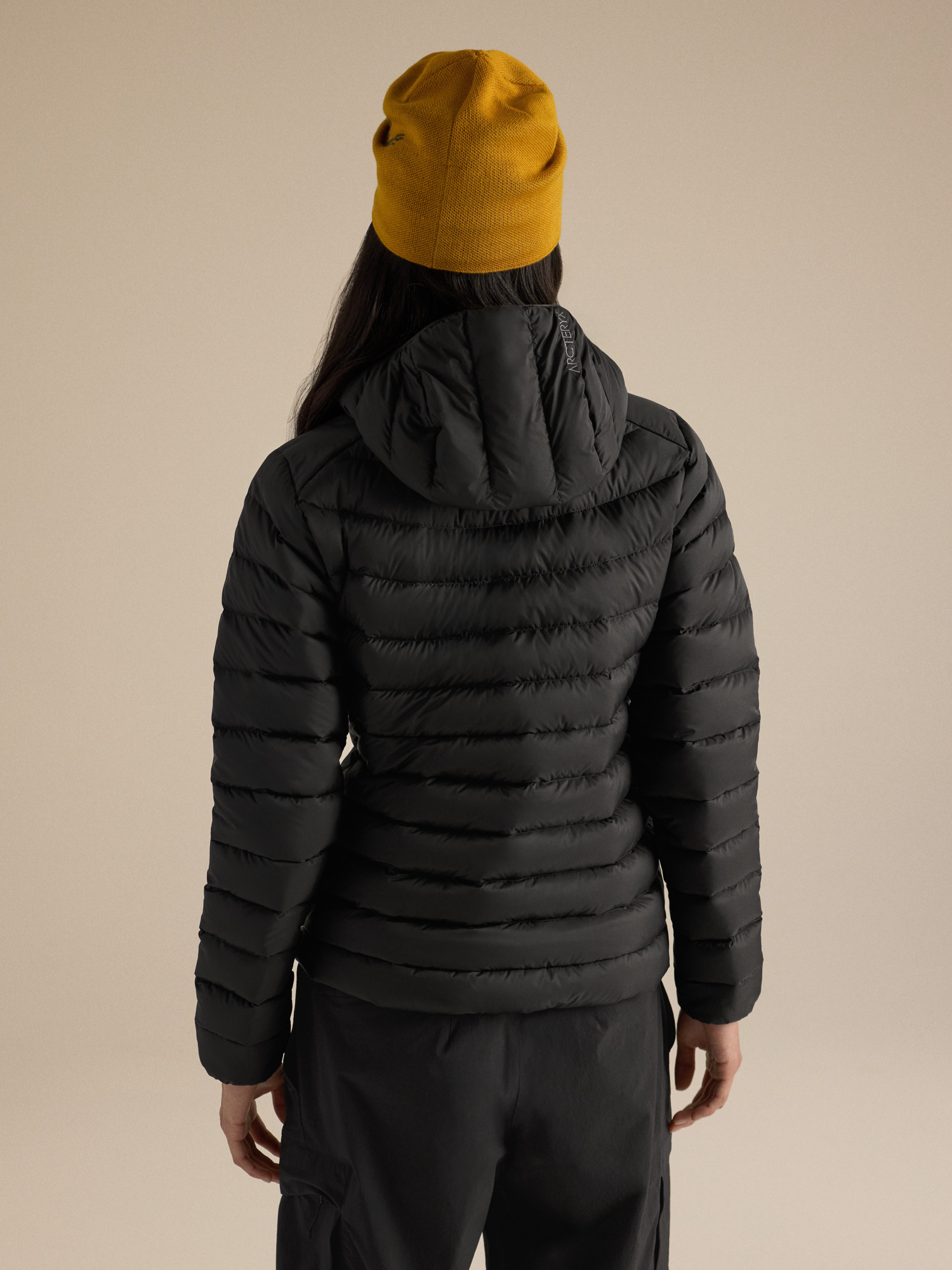 Product Image https://product.arcteryx.co.kr/images/products/686812/F26_X000010554_details_Cerium_Hoody_Black_Women_s_Back_View.jpg
