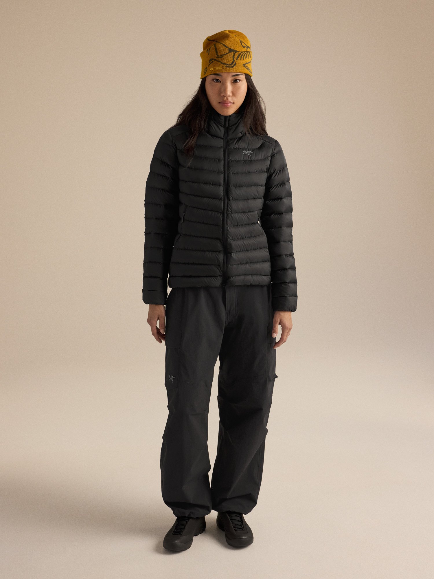 Product Image https://product.arcteryx.co.kr/images/products/686812/F26_X000010554_details_Cerium_Hoody_Black_Women_s_Full_Body.jpg